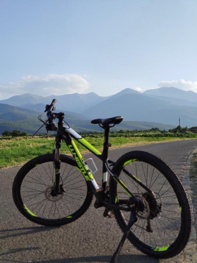 Horace Guesthouse Pool & Hot Tub & Bikes & River Dejani Exterior foto